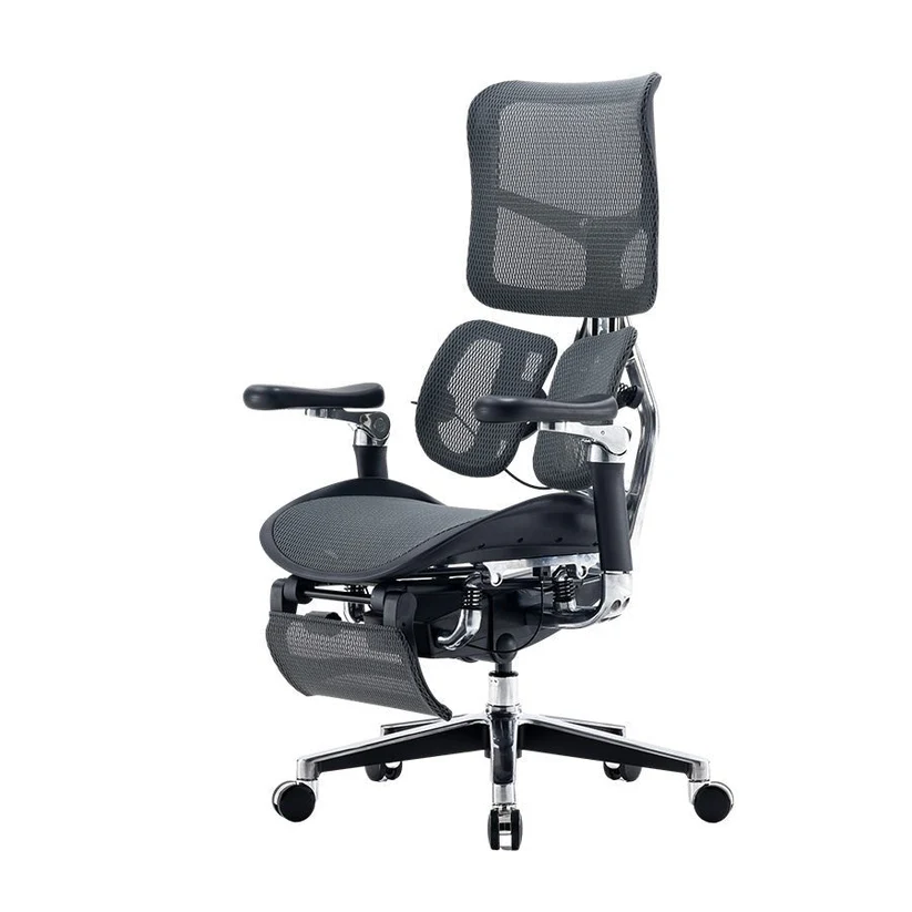 Sihoo DORO-S300 Ergonomic Office Chair
