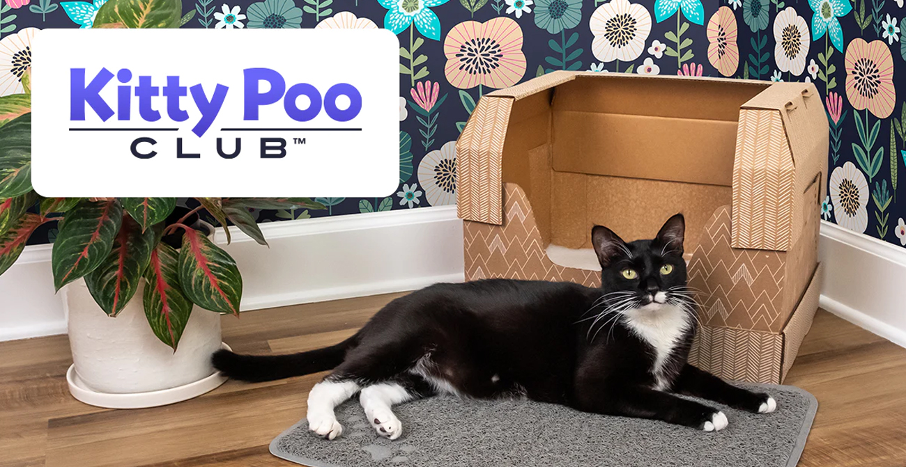 Kitty Poo Club Featured Image